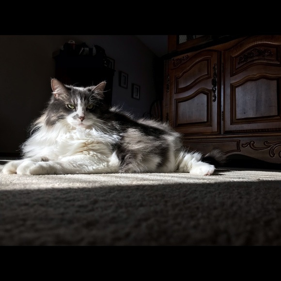 Smoke free home - Picture 1 of 1